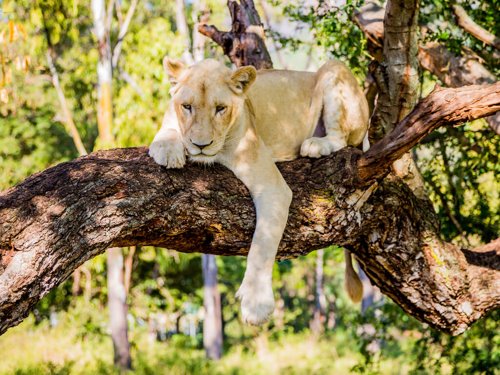 Best Family Activities In Mauritius (with prices listed)