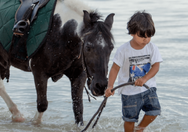 Horse ride- Haras du Morne