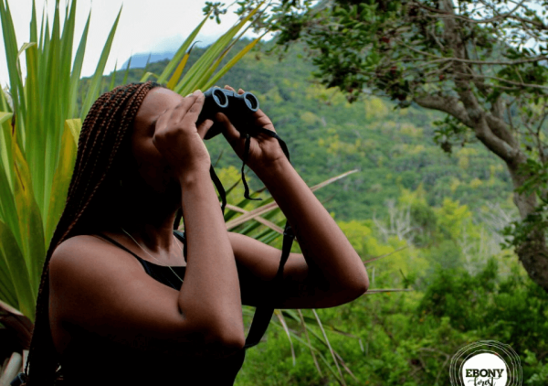 Birdwatching-Ebony Forest Reserve, Chamarel