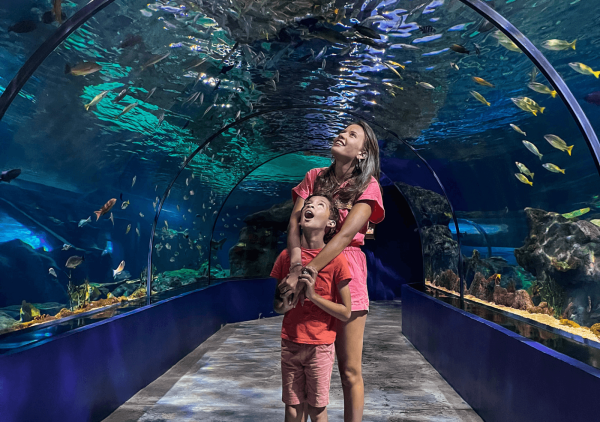 Lakaz Dekouver- Odysseo Oceanarium Mauritius