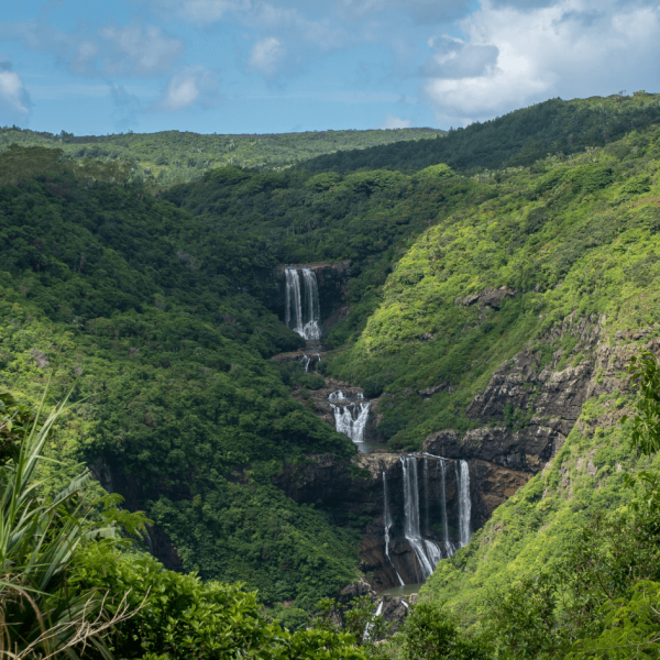 Fun West | 8 hours | Transport + Tickets