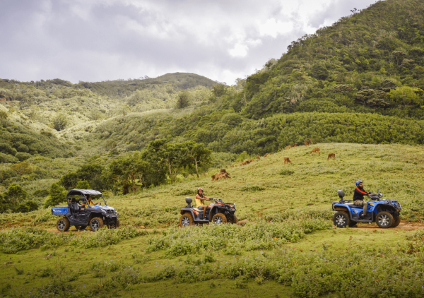 La Vallée des Couleurs - Buggy Exclusive